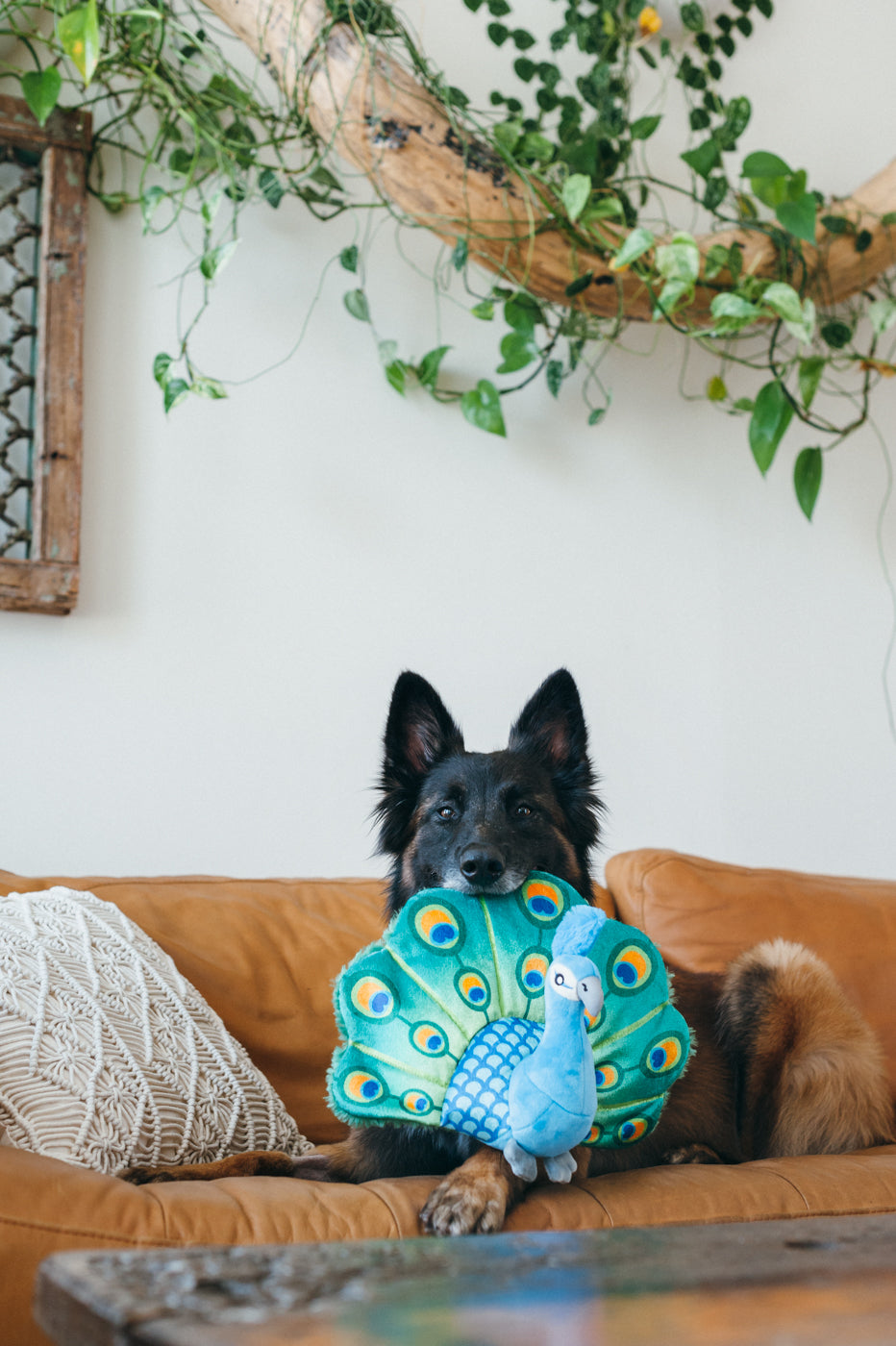 Percy the Peacock Plush Dog Toy - Fetching Flock™ Interactive Chew Toy for Dogs | Soft & Durable Pet P.L.A.Y. Toy for Fetch, Tug-of-War & Cuddling | Perfect for Playtime, Training & Comfort
