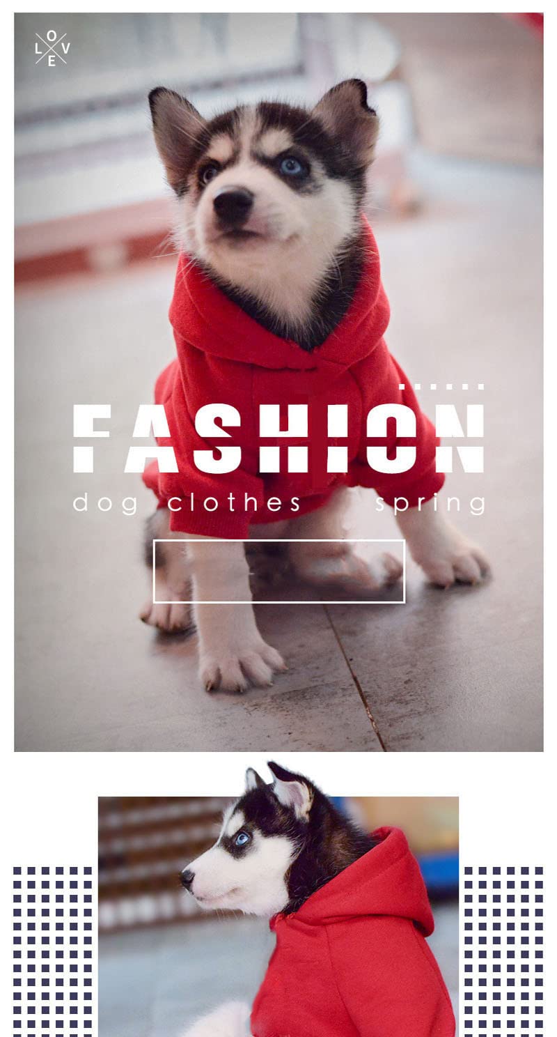Trendy Dog Hoodie - Soft & Breathable for Small to Large Dogs - Perfect for Walks & Playtime