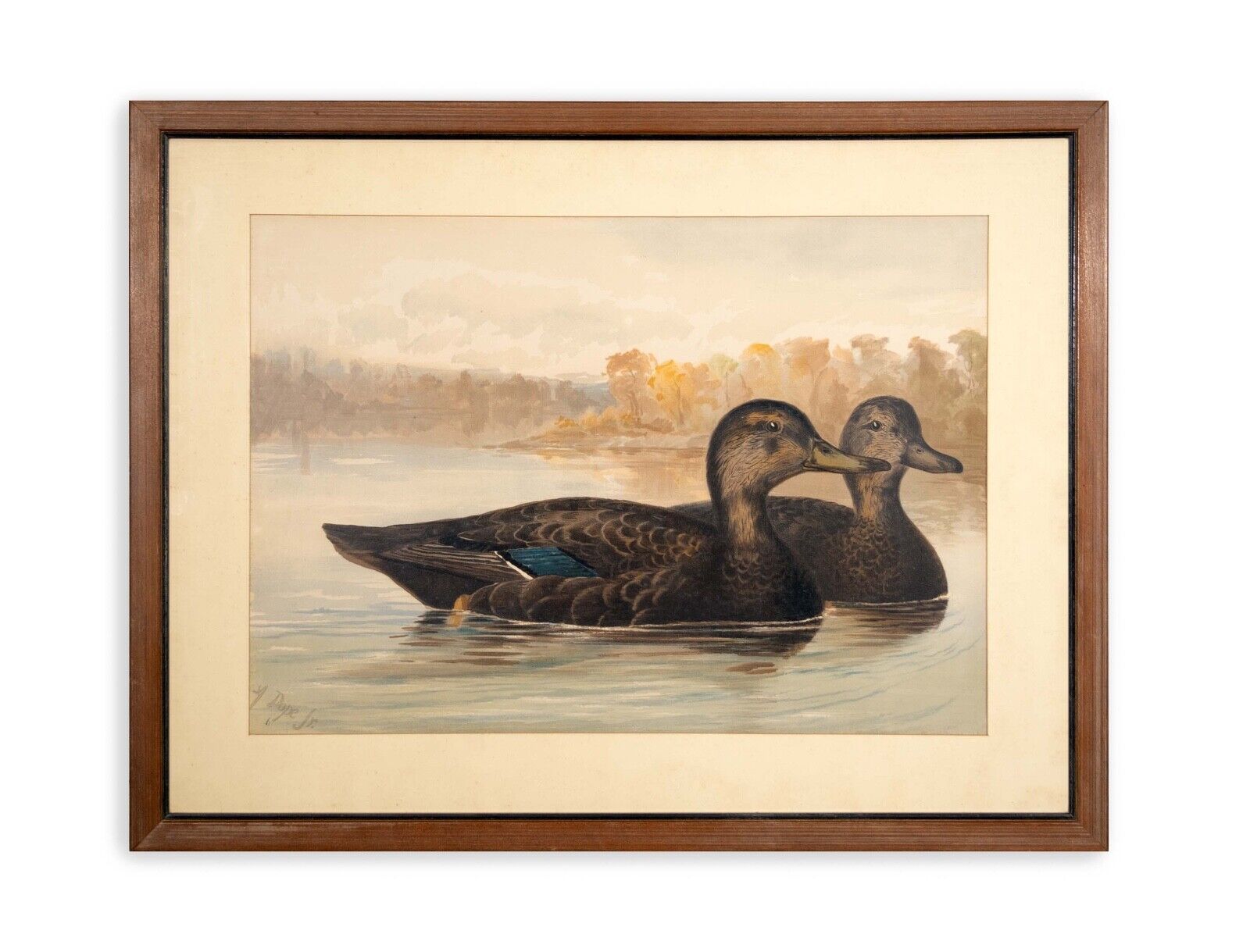 Alexander Pope Jr. Black Ducks Antique Chromolithograph Print on Paper 1878 - Framed Vintage Duck Hunting Art - Perfect for Home Decor, Office Wall Art & Hunting Lodge Decoration