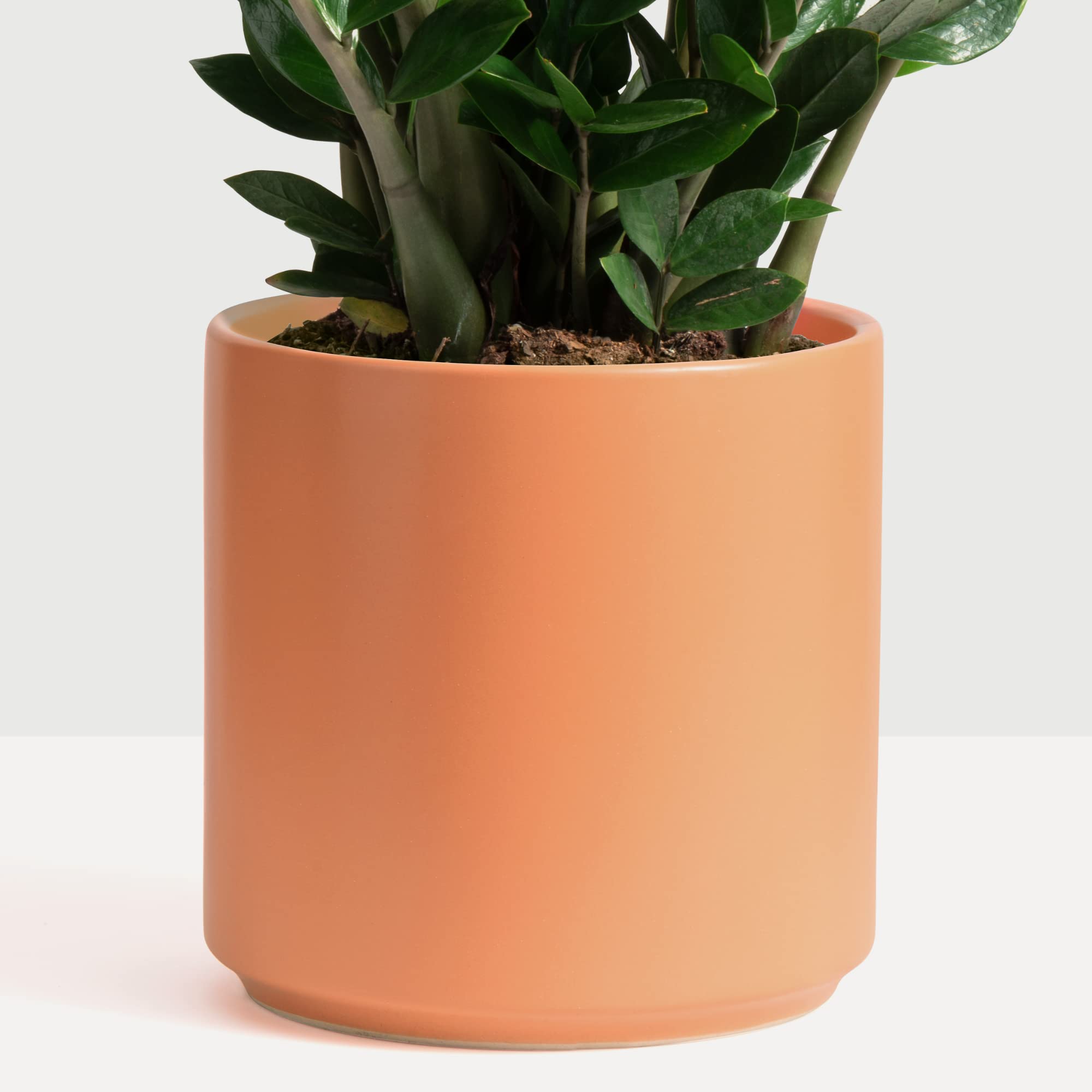PEACH & PEBBLE 5 Inch Ceramic Planter Set of 2 - Modern Cylinder Flower Pots for Indoor Plants with Drainage Hole & Stopper - Perfect for Succulents, Herbs & Home Decor