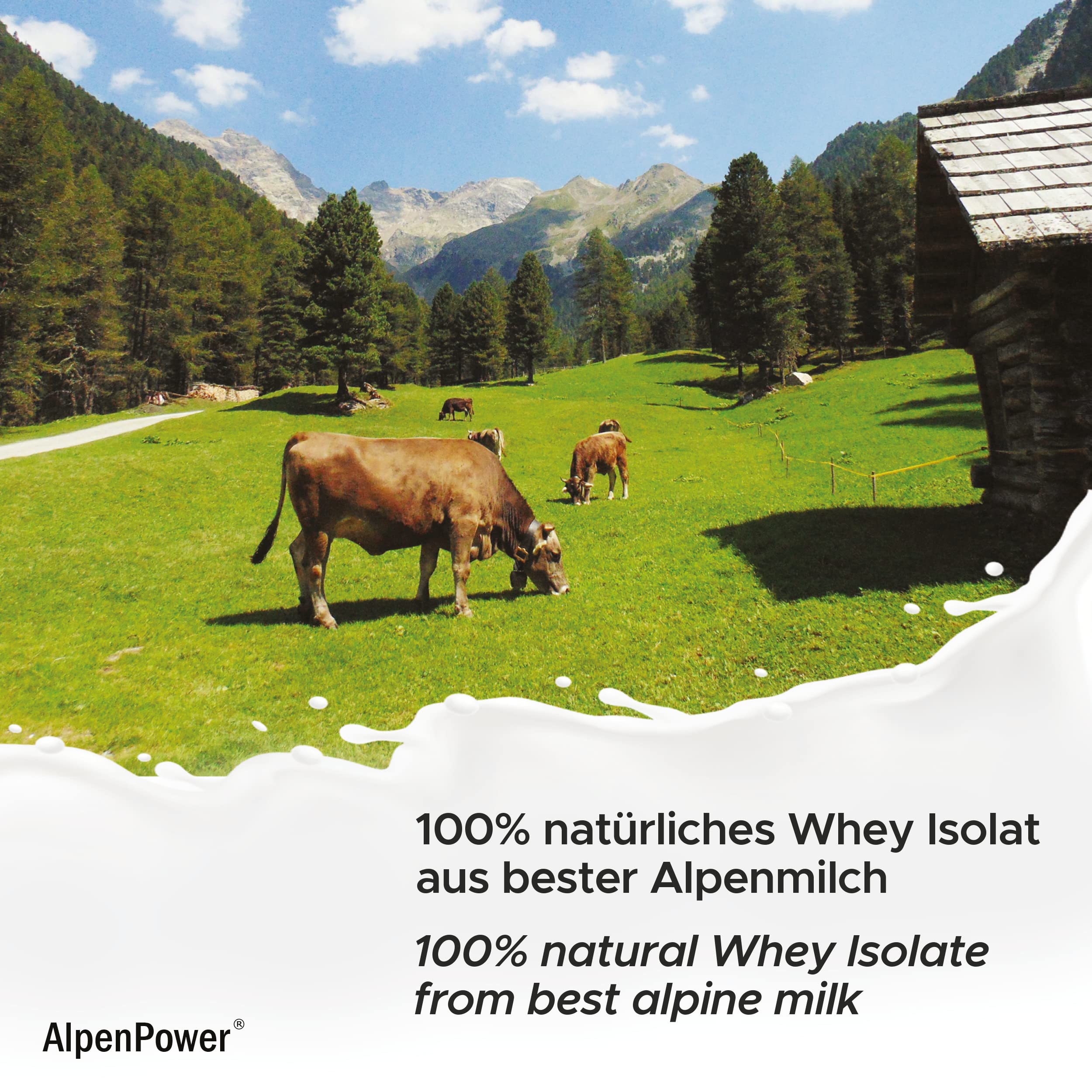 AlpenPower Native Whey Protein Isolate Vanilla 500g - 100% Natural Whey Protein Powder from Alpine Milk, No Artificial Sweeteners, High-Quality CFM Protein for Muscle Recovery & Post-Workout - Perfect for Smoothies, Shakes & Fitness Nutrition