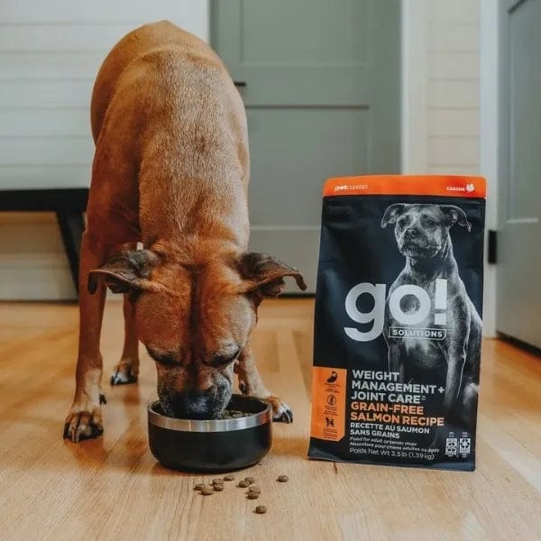 Go! Solutions Weight Management + Joint Care Grain-Free Salmon Recipe Dry Dog Food - Healthy Weight Control & Joint Support for Adult Dogs - Perfect for Active & Senior Dogs