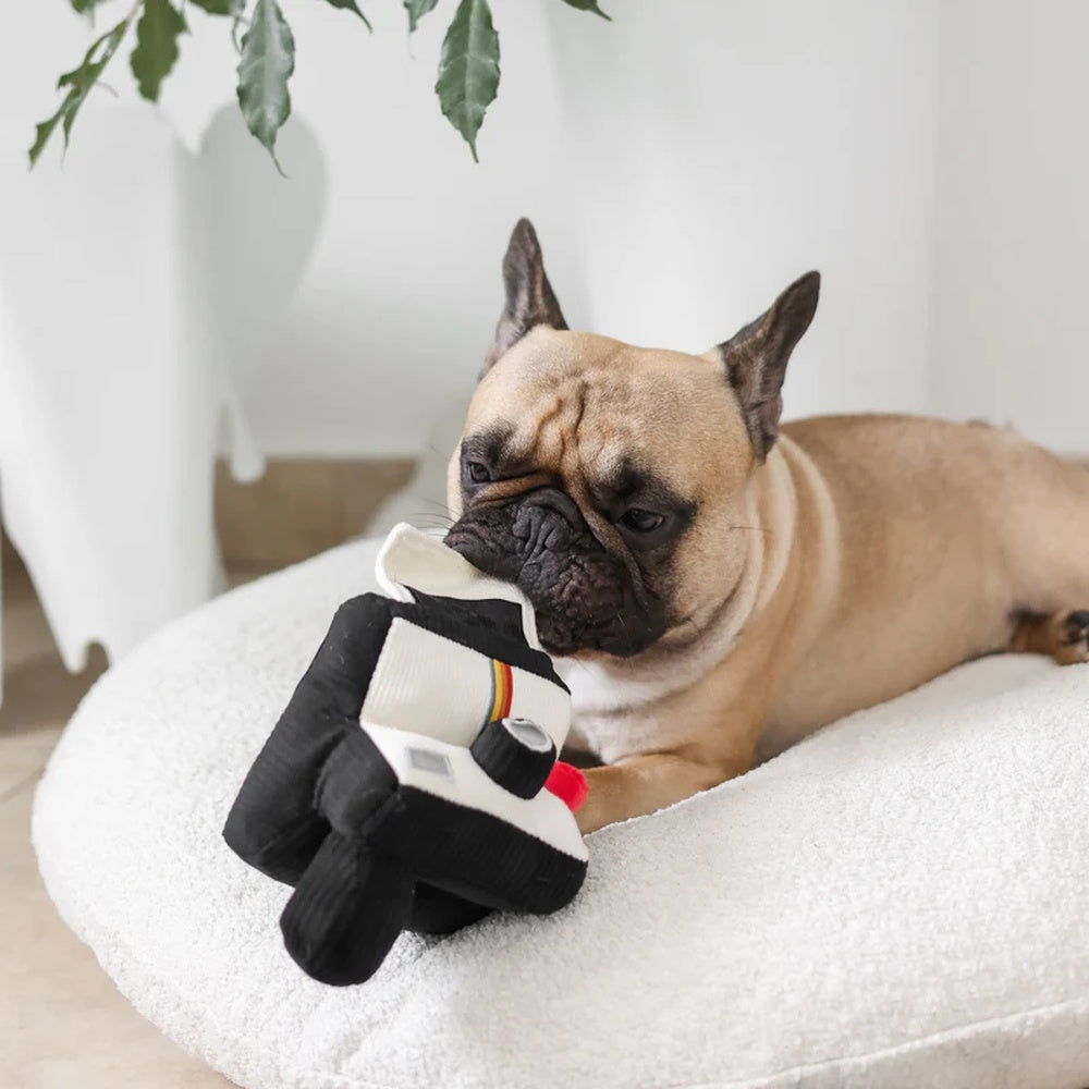 Snuffle & Squeaky Dog Chew Toy - Interactive Plush Instant Camera Shaped Puppy Toy for Small & Medium Dogs - Perfect for Playtime, Training & Anxiety Relief