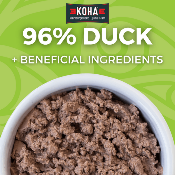 KOHA LID Duck Pate Grain-Free Canned Cat Food - High Protein, Limited Ingredient Diet for Cats with Sensitive Stomachs - Perfect for Mealtime, Travel & Emergency Pet Food Supply
