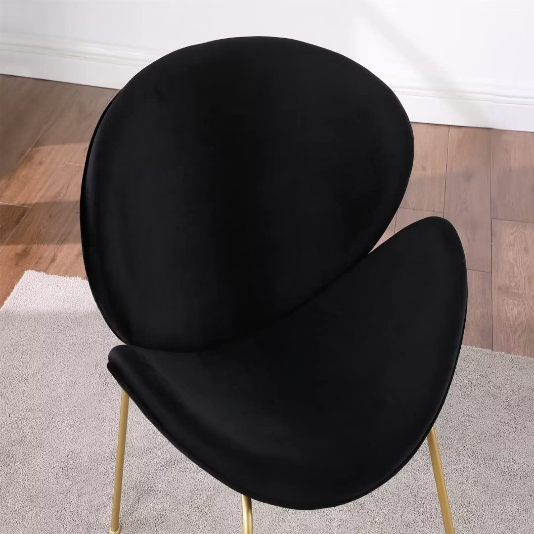 JINS&VICO Set of 2 Velvet Dining Chairs with Golden Metal Frame - Elegant Padded Armchairs with Ergonomic Backrest, Comfortable Lounge Chairs for Living Room, Bedroom or Dining Area - Perfect for Home Decor, Entertaining Guests and Relaxing (Black)