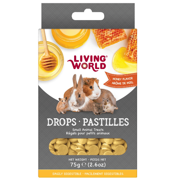 Living World Honey Flavor Drops - Natural Small Animal Treats for Rabbits, Guinea Pigs & Hamsters - Healthy Snack for Pets - Perfect for Training & Bonding Time