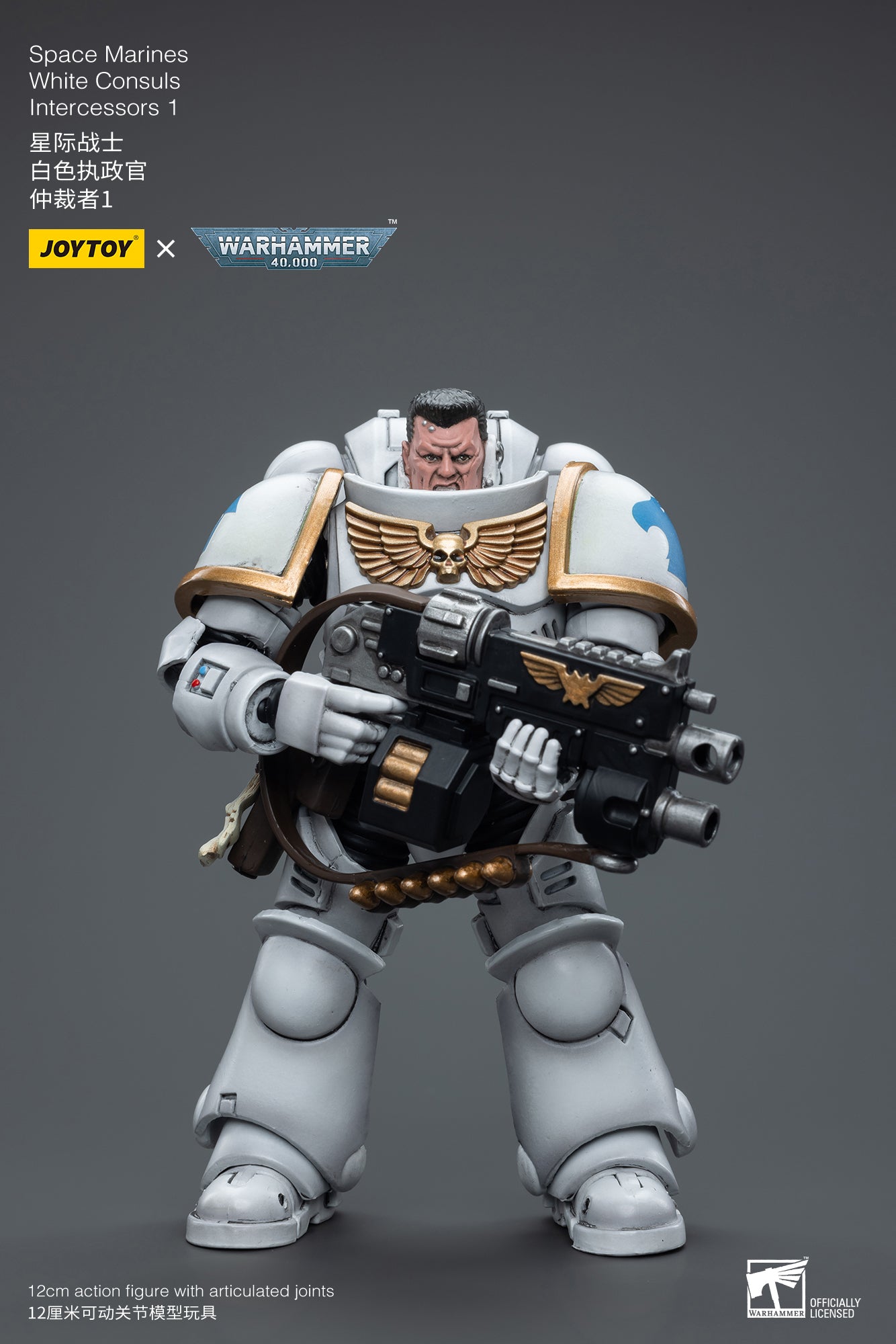 1/18 JOYTOY Warhammer 40K Space Marines White Consuls Intercessors Action Figure - Collectible Miniature for Tabletop Gaming & Display