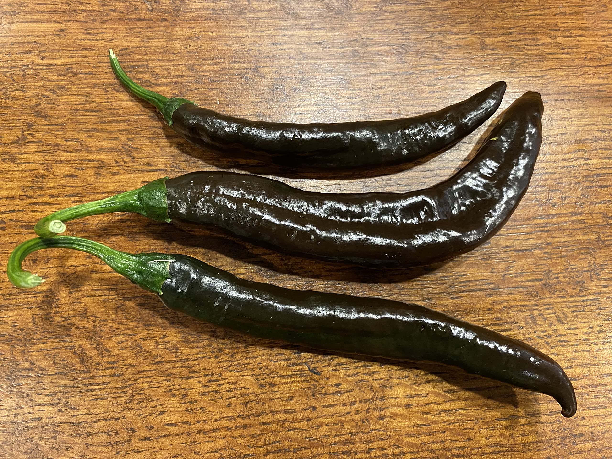 Premium Pasilla Apaseo Little Raisin Chile Oaxacan Chilaca Chili Heirloom Pepper Seeds - Non-GMO Planting Packet for Home Garden, Mexican Cuisine & Salsa Making
