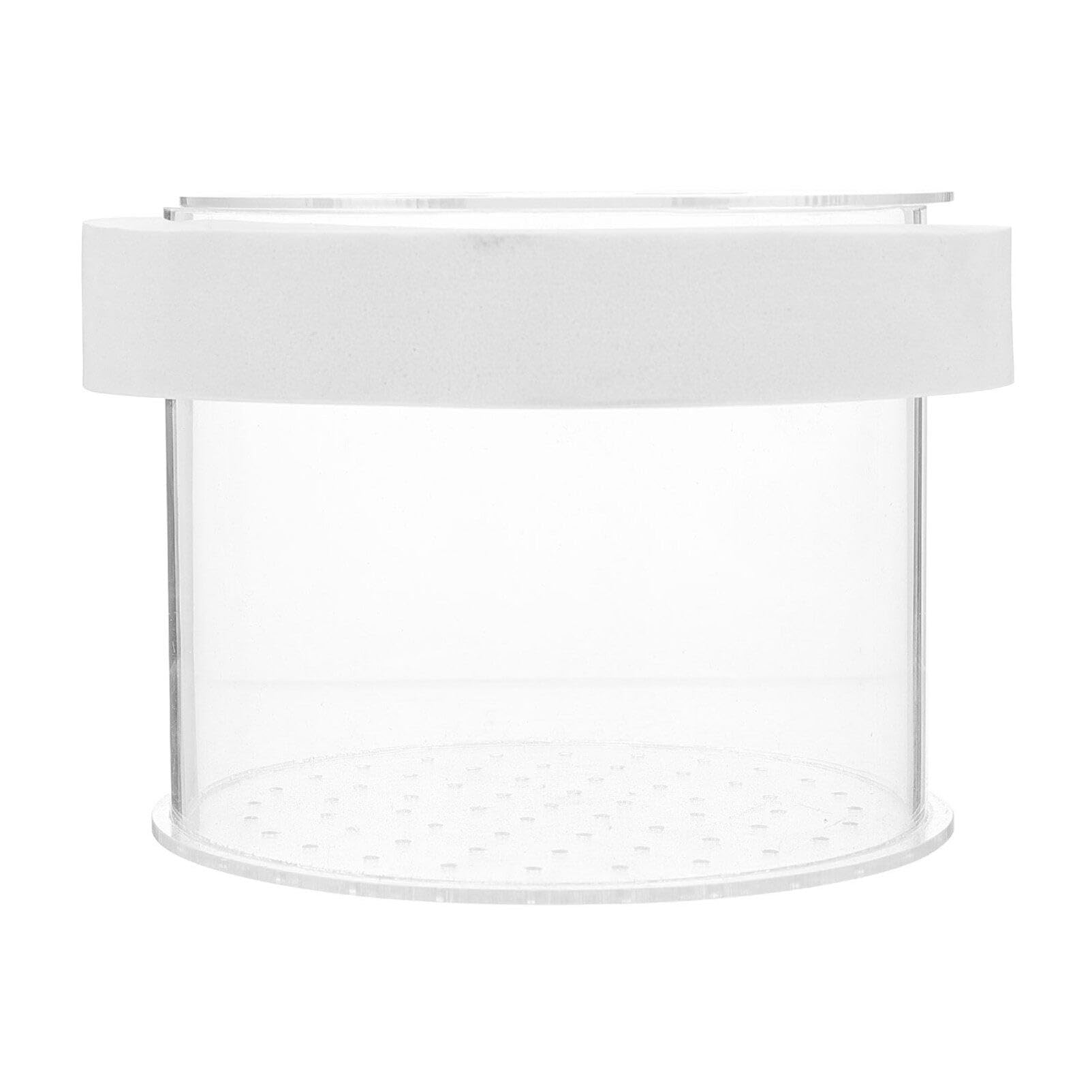 Acrylic Floating Fish Breeding Box for Aquarium - Isolation & Hatching Tank Divider for Shrimp & Small Fish | Perfect for Safe Breeding in Home Fish Tanks