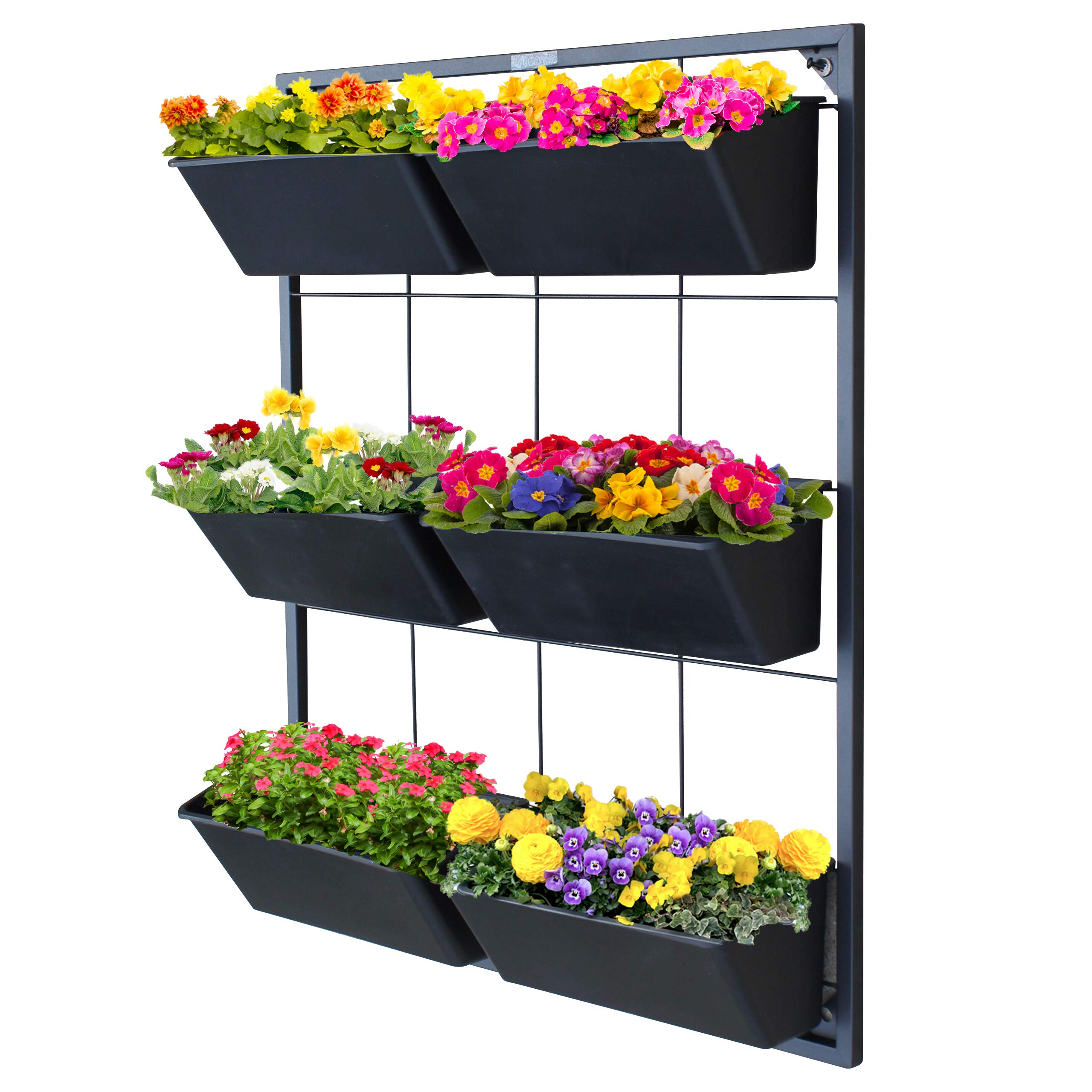 Vertical Garden Wall Planter with 6 Removable Pots - Indoor/Outdoor Hanging Planter System for Vegetables, Flowers & Herbs - Self Draining Metal Frame Wall Mounted Planter for Balcony, Patio & Small Space Gardening