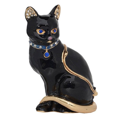 Black Kitty