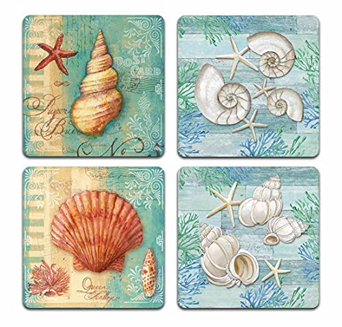 Conch Shell