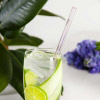 4-Pack Glass Drinking Straws with Cleaning Brush - Reusable Eco-Friendly Gift Set for Smoothies, Cocktails & Iced Coffee at Home or Parties