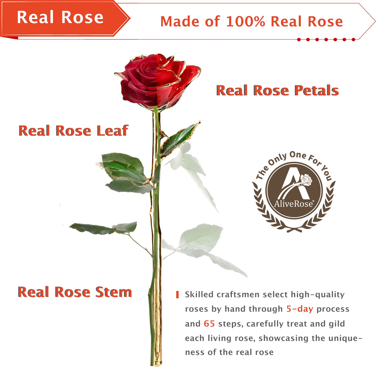 24K Gold Plated Real Rose in Yellow - Luxury Eternal Rose Gift for Anniversary, Valentine's Day, Mother's Day & Birthday - Romantic Home Decor with Display Stand