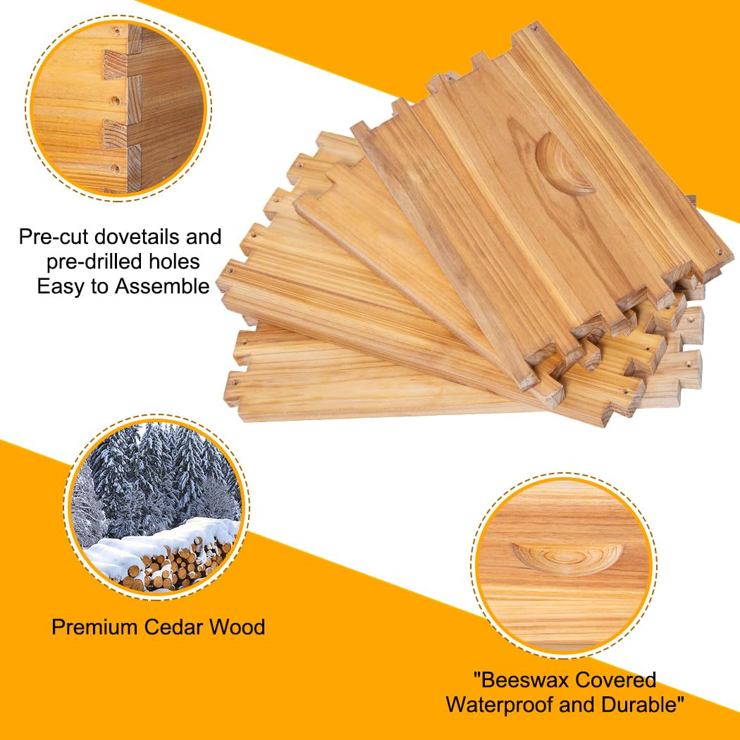 POLLIBEE 8 Frame Beehive Starter Kit - Unassembled Langstroth Bee Hive with 1 Deep & 1 Medium Box, Beeswax Coated Frames & Foundation - Complete Beekeeping Supplies for Beginners | Perfect for Backyard Honey Production & Pollination