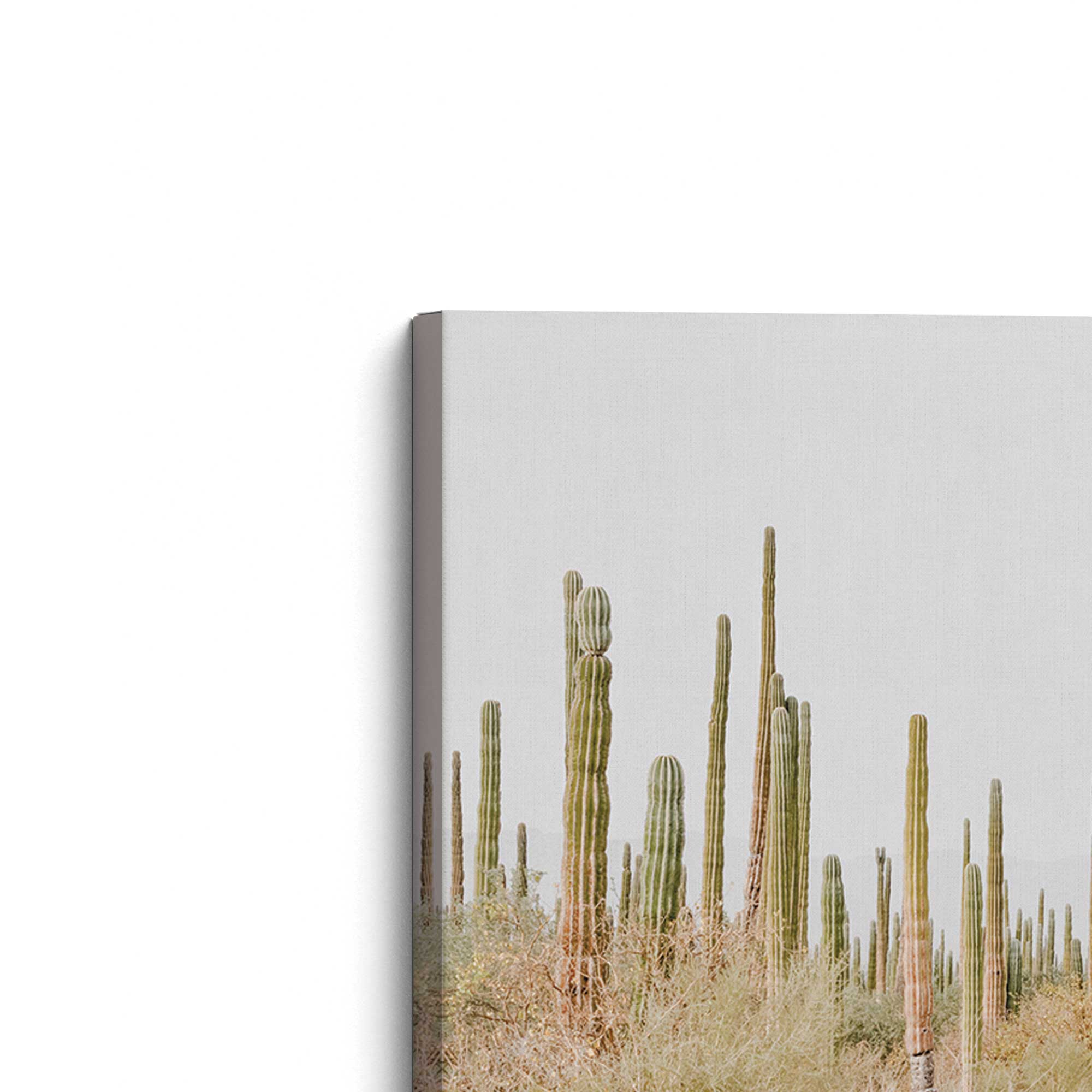 Desert Tranquility Large Canvas Print - Stunning Wall Art for Living Room, Bedroom & Office Decor - Perfect for Home & Commercial Spaces