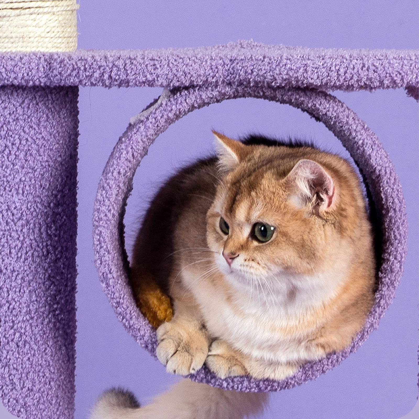 Premium Cat Scratchers for Indoor Cats - 128Cm Multi-Level Cat Tree Tower with Scratching Posts, Condos, Basket, Hammock & Sisal Pillars - Durable 2-Cat Activity Center for Play, Rest & Climbing - Perfect for Home, Apartment & Office Spaces