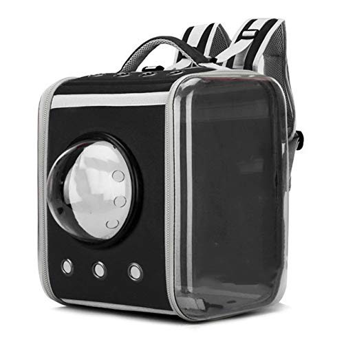 Portable Transparent Pet Backpack - Foldable Space Capsule Cat & Dog Carrier for Travel, Hiking, Walking | Lightweight Pet Travel Bag for Small Animals | Perfect for Outdoor Adventures, Vet Visits & Daily Commutes