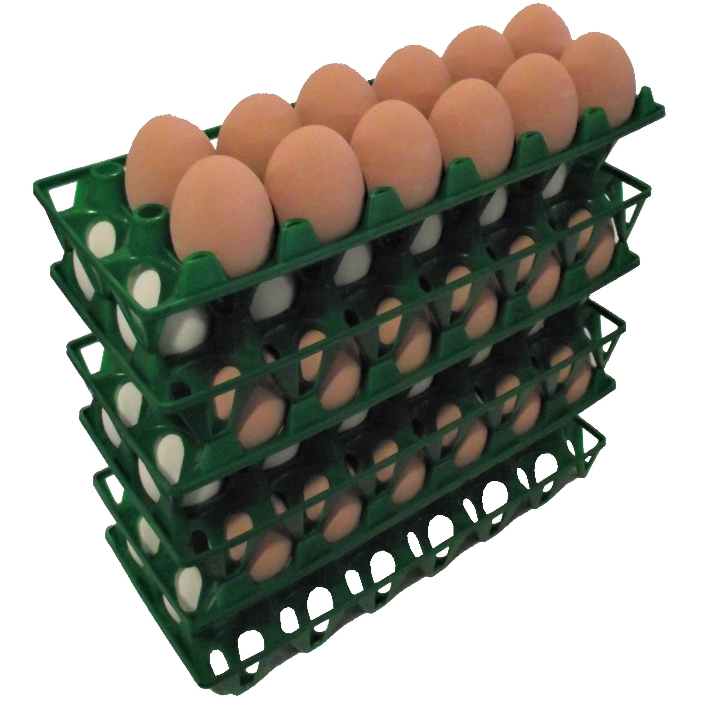 6 Pack of RITE FARM PRODUCTS 12 Egg Chicken Trays - Durable Polypropylene Poultry Shipping Cartons for Egg Transport | Perfect for Farmers, Backyard Chicken Keepers & Egg Delivery Businesses