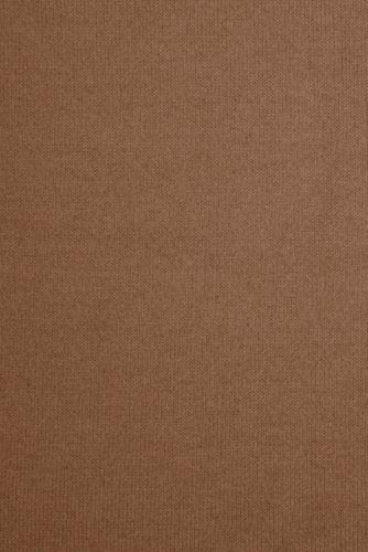 Warm Tawny Brown