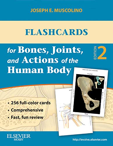 Human Anatomy Flashcards - Bones, Joints & Muscle Actions | 1st Edition Study Cards for Medical Students & Nursing School | Perfect for Anatomy Class & Exam Prep