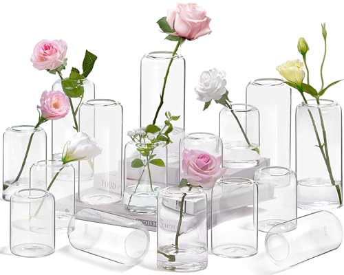 Transparent