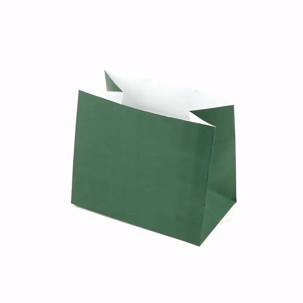 Eco-Friendly Forest Green Paper Snack Bags - 4.25