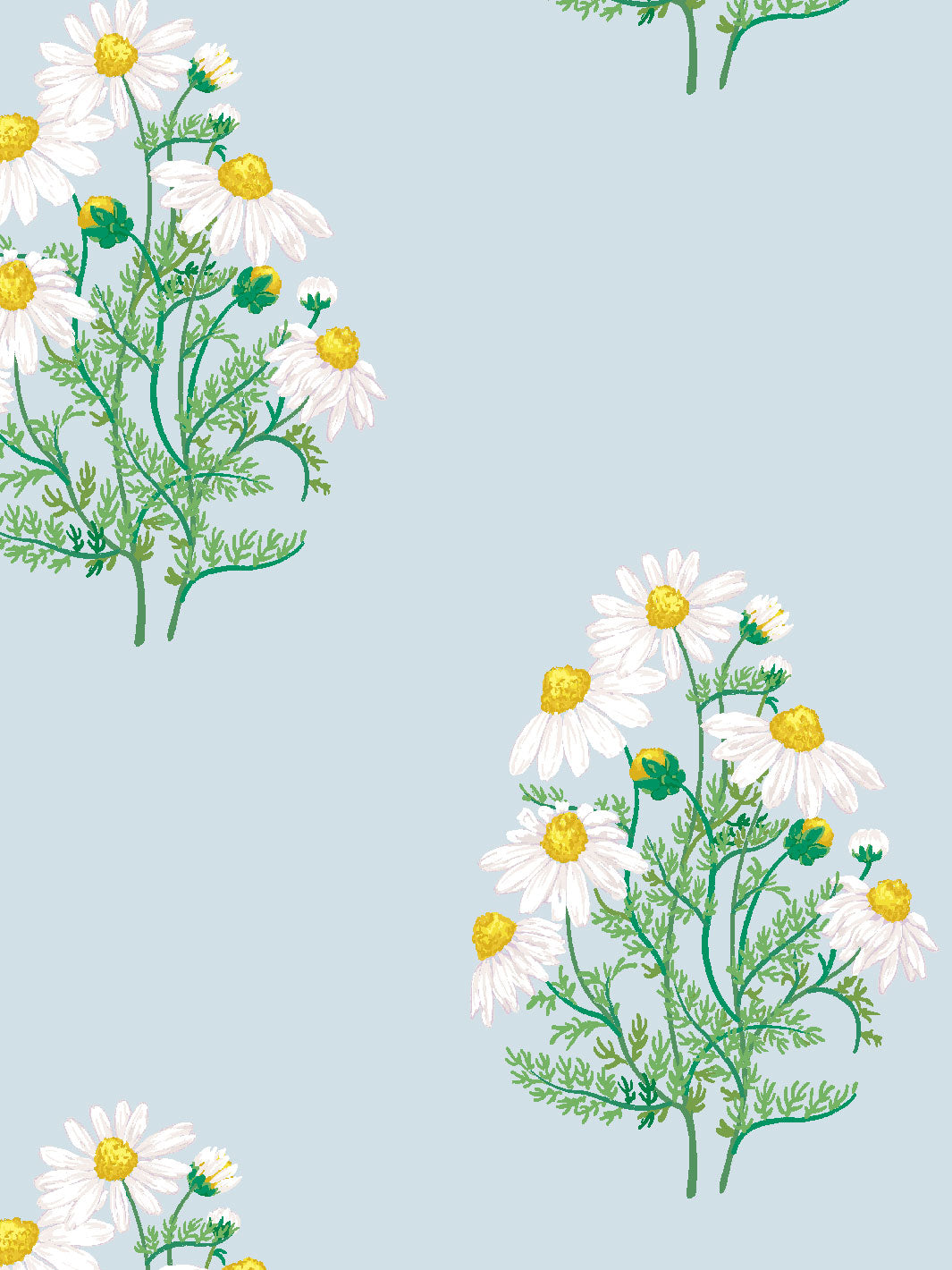 Sarah Jessica Parker Fleur De Camomille Wallpaper - Misty Blue Floral Design for Bedroom & Living Room Decor
