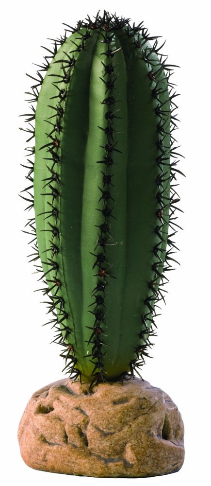 Exo Terra Saguaro Cactus Terrarium Plant - Realistic Desert Decor for Reptile Tanks & Gecko Habitats - Perfect for Bearded Dragons, Leopard Geckos and Desert Terrarium Setups