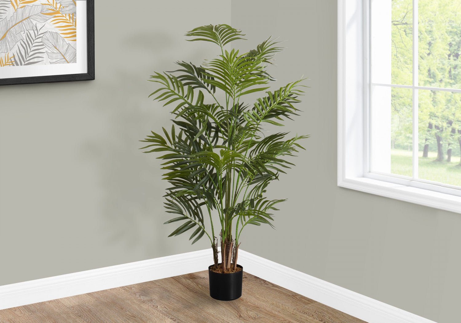 47 Areca Palm Tree Plants in 5 Black Pots - Indoor Tropical Houseplants for Home, Office & Garden Decor