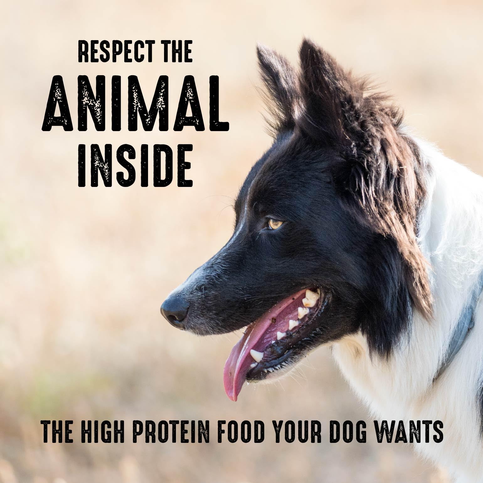 **CRAVE Grain Free High Protein Adult Dry Dog Food - Chicken Recipe, 22 lb Bag - Premium Nutrition for Active Dogs - Ideal for Training, Hiking & Outdoor Adventures**