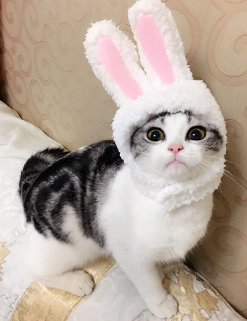 Cute Bunny Ears Headband for Cats & Dogs - Pink Rabbit Costume Halloween Pet Dress Up - Perfect for Halloween Parties, Pet Parades & Photo Shoots