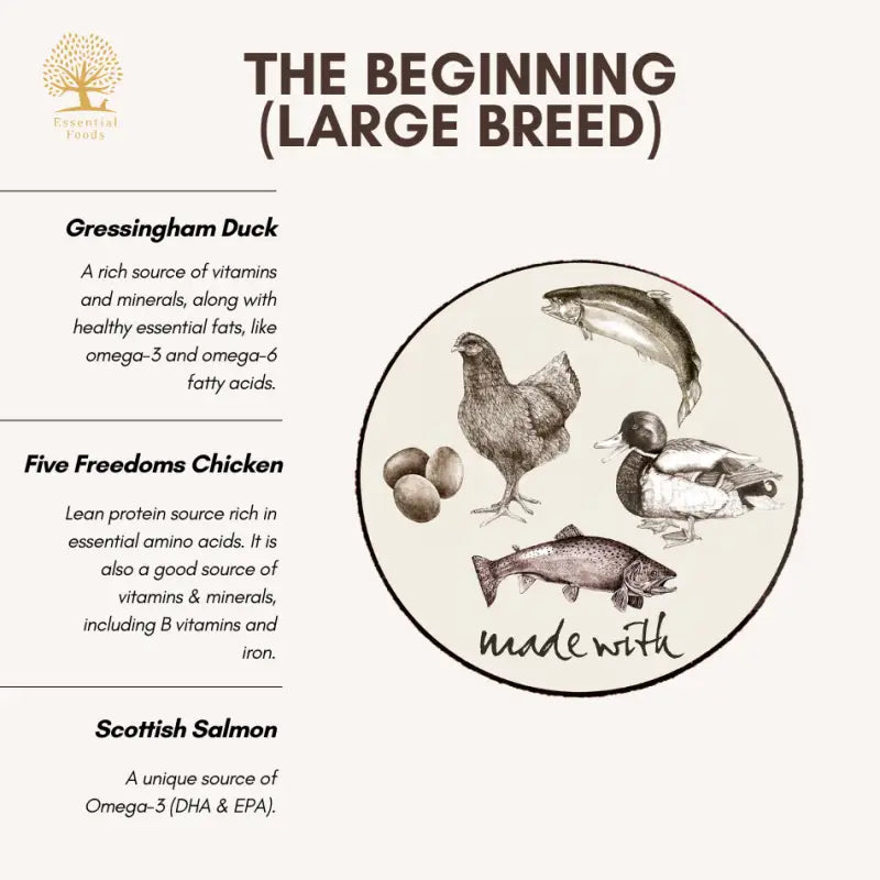 **Essential the Beginning Large Breed Dry Dog Food - High Protein, Grain-Free for Adult Dogs - Perfect for Active & Large Breed Canines**    *(Use Case: Ideal for daily feeding, training rewards, and maintaining muscle health in large breed dogs like German Shepherds, Labradors, and Great Danes.)*