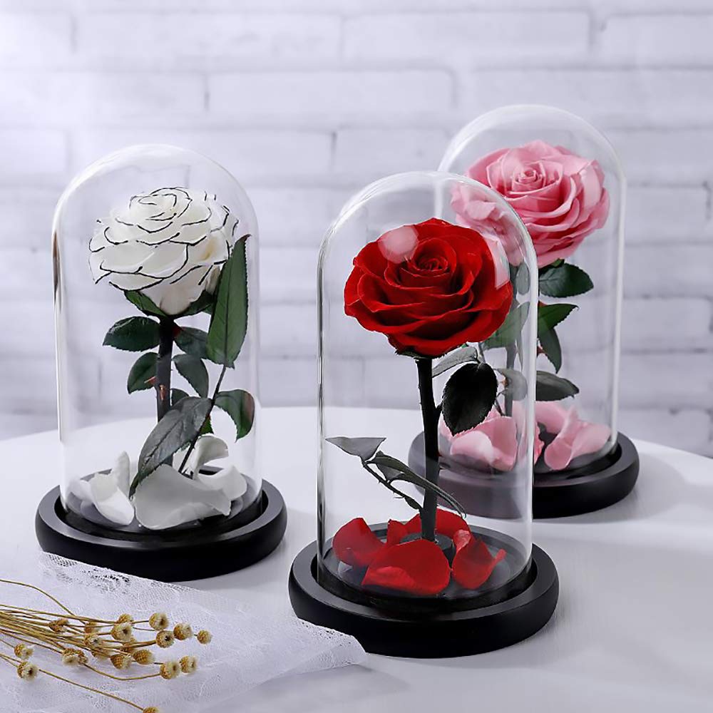 Real Preserved Pink Rose in Glass Dome - Eternal Fresh Flower Gift for Valentine's Day, Birthday, Mother's Day, Christmas & Anniversaries (1PC) - Perfect for Home Decor, Wedding Centerpieces & Romantic Surprises
