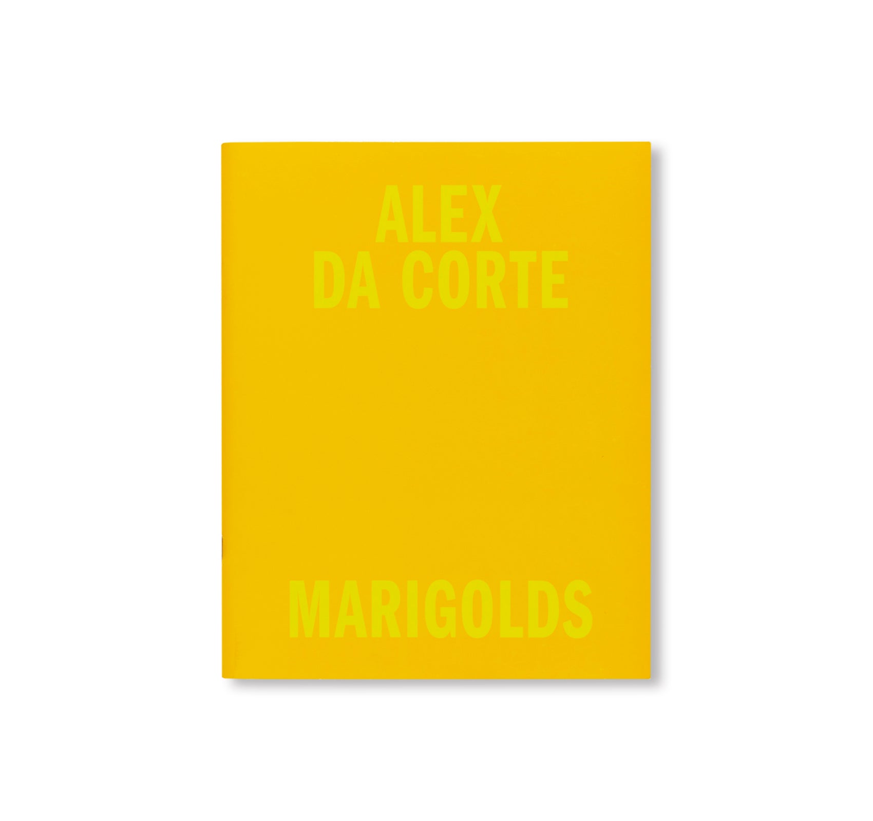 MARIGOLDS by Alex Da Corte - Contemporary Art Print for Home Decor, Office & Gallery Display - Perfect for Modern Living Rooms, Bedrooms & Creative Spaces