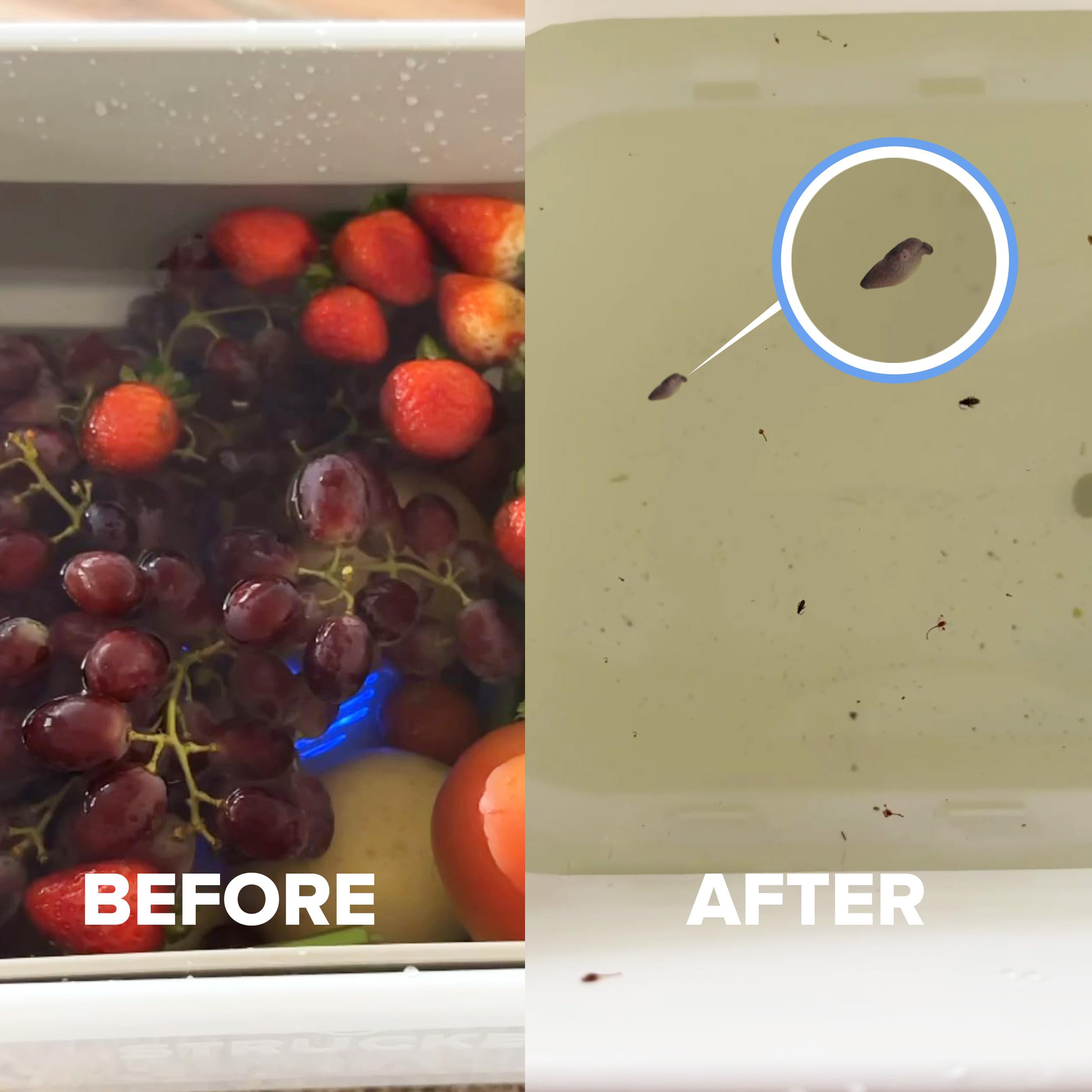 AquaPure Fruit and Vegetable Washing Machine - Waterproof Produce Cleaner & Purifier for Fresh Fruits & Veggies | 1-Year Warranty | Perfect for Home Kitchens, Organic Farms & Healthy Meal Prep