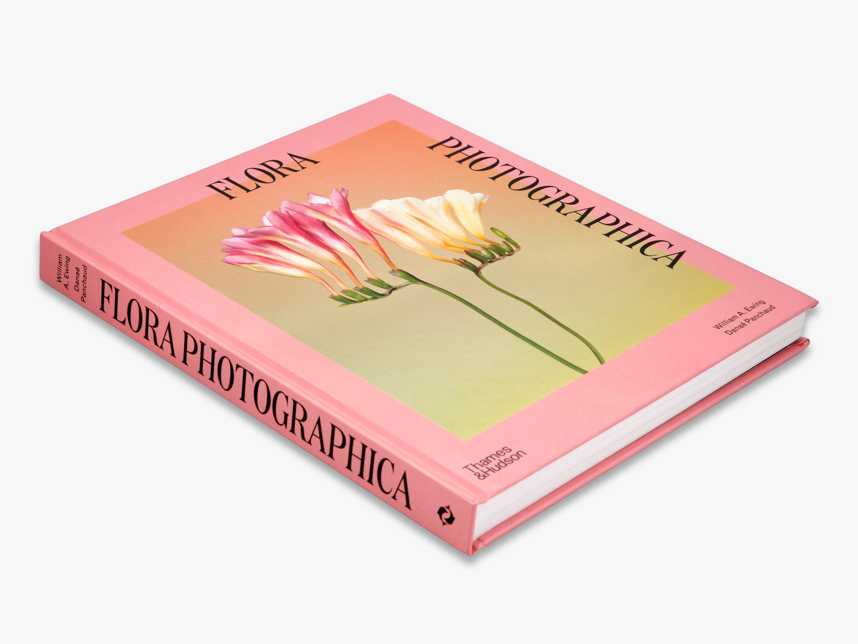 Flora Photographica - Stunning Botanical Photography Prints for Home & Office Decor | Nature Wall Art for Living Room, Bedroom & Office