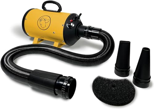 Yellow w/ Black Logo