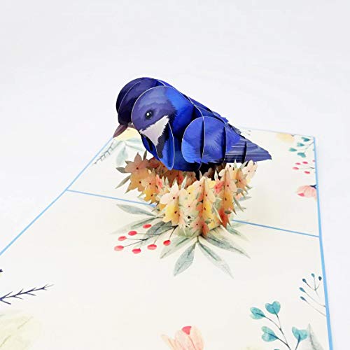 Blue Jay Bird Pop Up Card