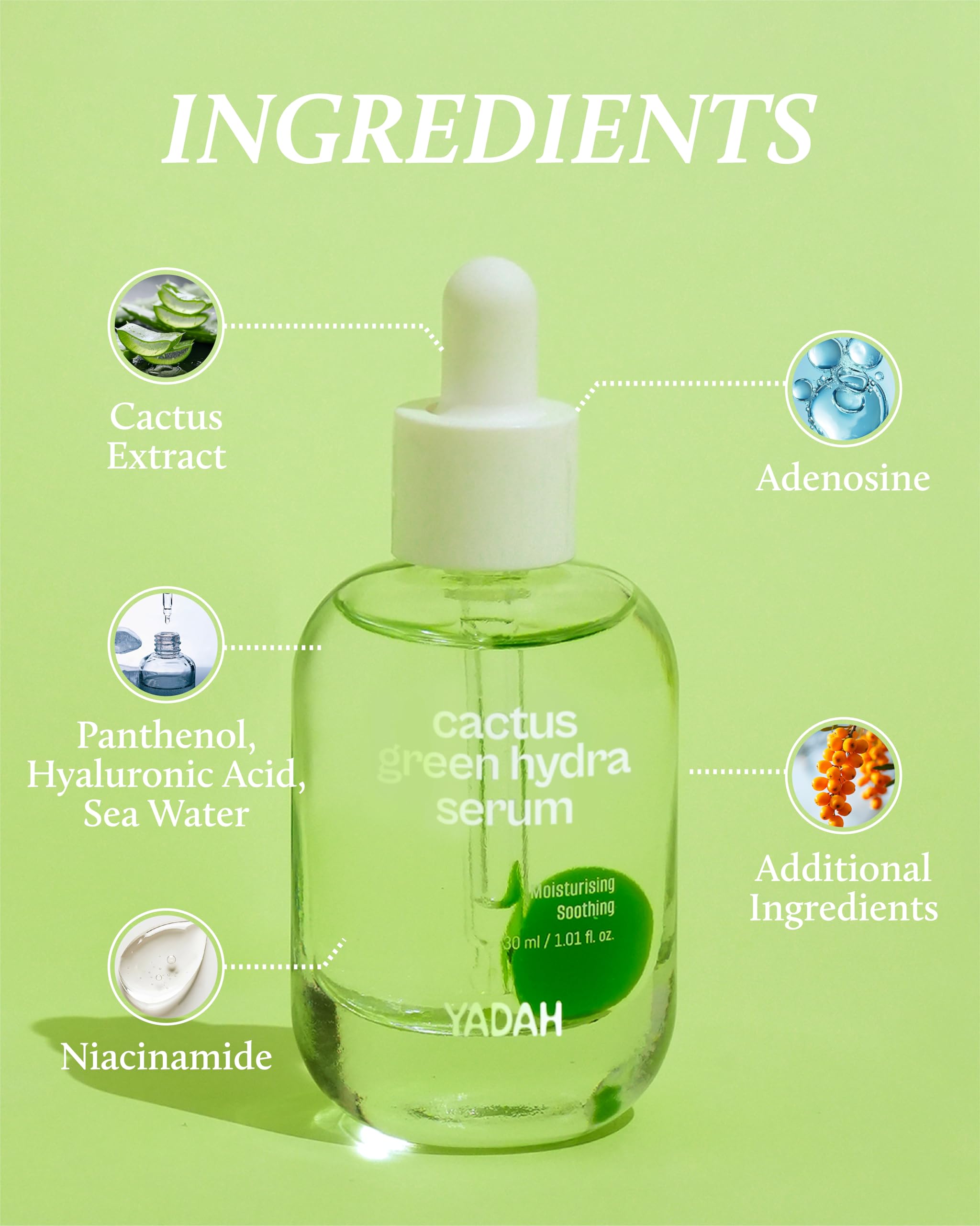 YADAH Cactus Soothing Gel 8.45oz & Cactus Green Hydra Serum 1.01oz - Vegan Sunburn Relief, Cooling Skin Care for Irritated Skin & Face Redness | Korean Skincare with Niacinamide for Hydration & Oil-Moisture Balance | Perfect for Post-Sun Care, Daily Hydration & Sensitive Skin Routine