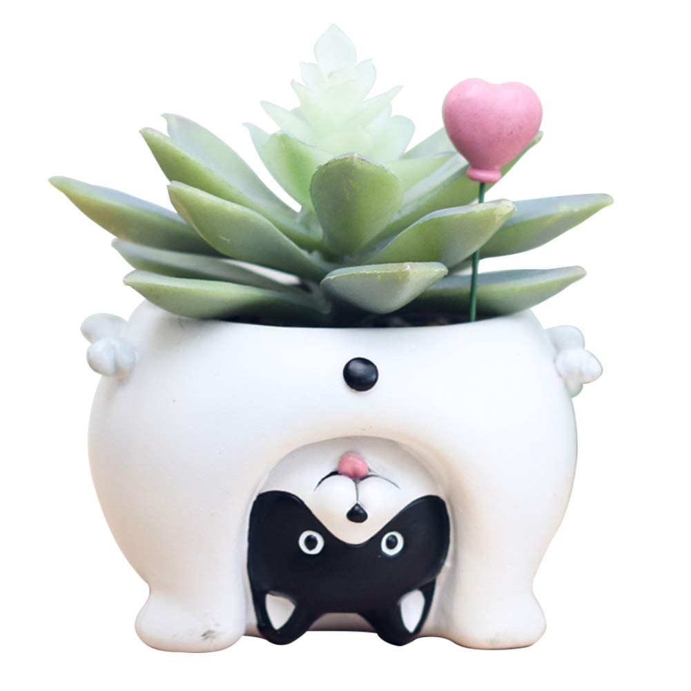 Lucare Cute Animal Succulent Planter - Cat, Pig, Dog Shaped Resin Flower Pot for Bonsai & Home Decor | Perfect for Indoor Plants, Office Desk & Gift Ideas