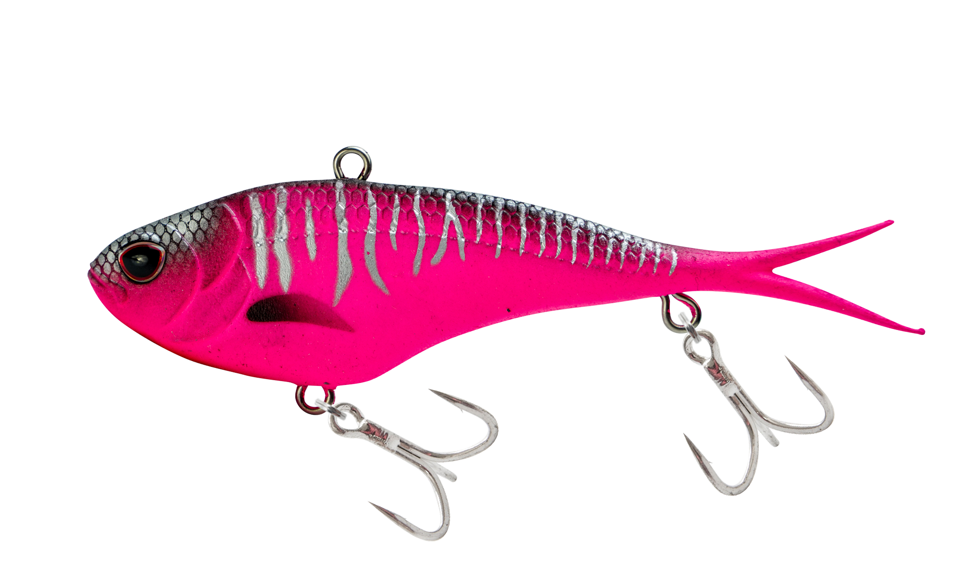 Hot Pink Mackerel