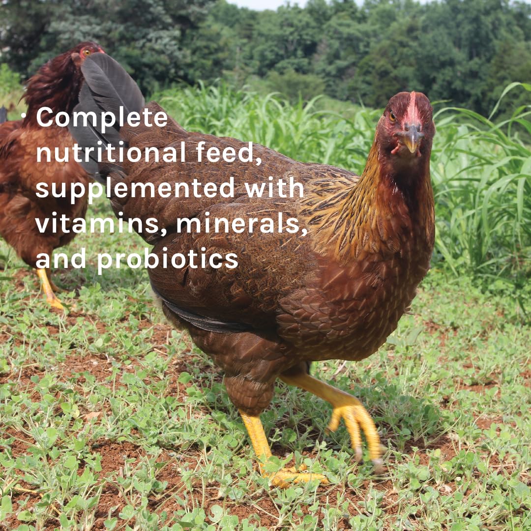 Organic Non-GMO Chicken Feed for Laying Hens - 40lbs Wheat-Free, Soy-Free & Gluten-Free Layer Feed with 17% Protein | Healthy Egg Production | Perfect for Backyard Chickens & Poultry Farms