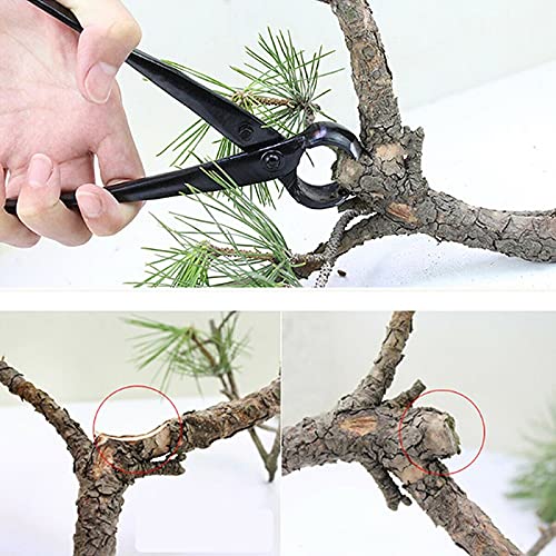 Professional 8.27 Inch Garden Branch Cutter with Round Edge & Concave Knob - Heavy Duty Pruning Shears for Bonsai, Tree Trimming, and Gardening Tools Set | Perfect for Landscaping, Yard Maintenance, and Plant Care