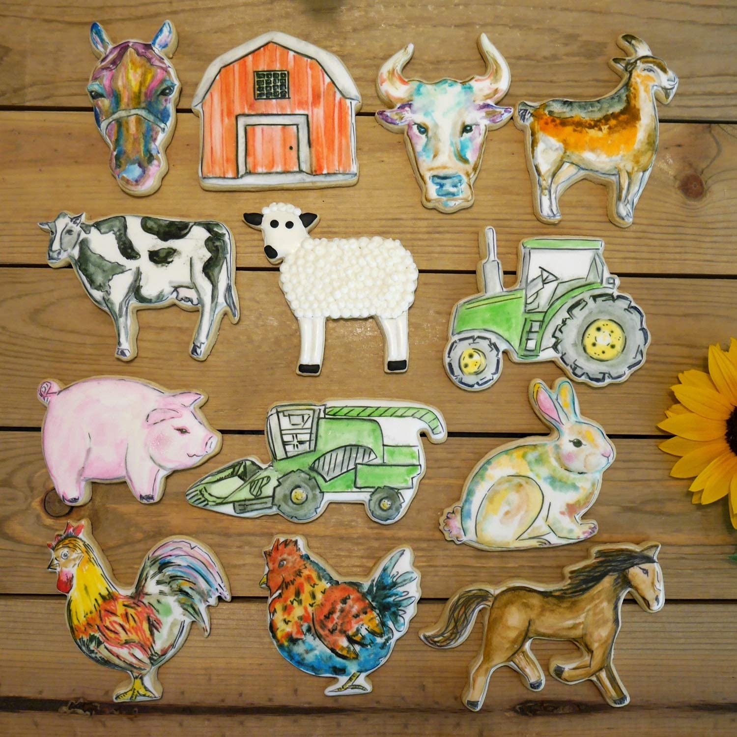 Farm Animal Cookie Cutter Set - 13 Piece Premium Stainless Steel Baking Tools, Food Grade & Dishwasher Safe - Perfect for Kids Birthday Parties, Holiday Baking & DIY Cookie Decorating
