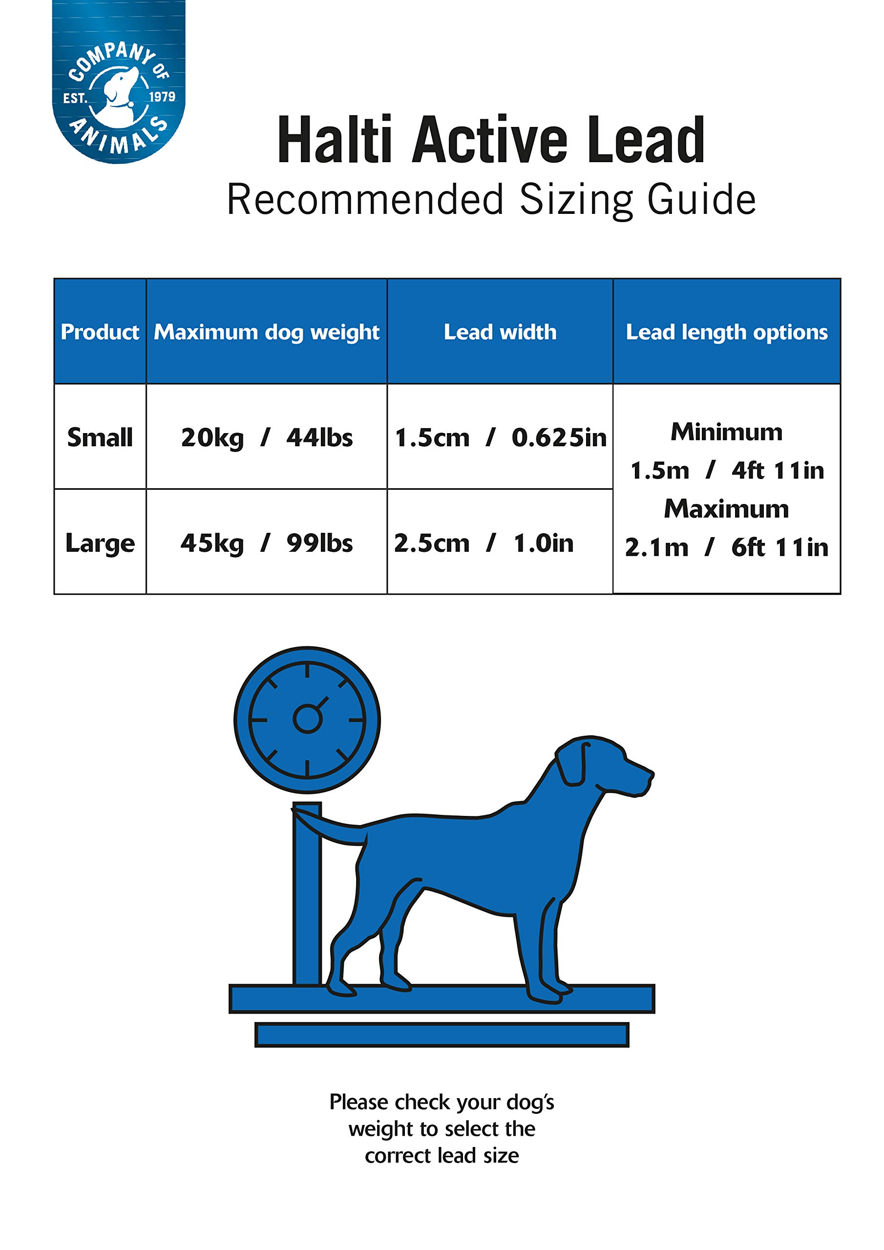 HALTI Active Bungee Dog Leash - Shock Absorbing Neoprene Padded Hands-Free Belt & Lead for Running, Hiking, Jogging with Medium & Large Dogs | Size Large, Black | Perfect for Outdoor Adventures & Dog Training