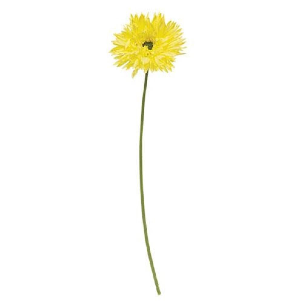 Gerbera Daisy Stem Lemon Yellow - Fresh Cut Flowers for Weddings, Home Decor & Floral Arrangements | Brighten Your Space with Vibrant Blooms