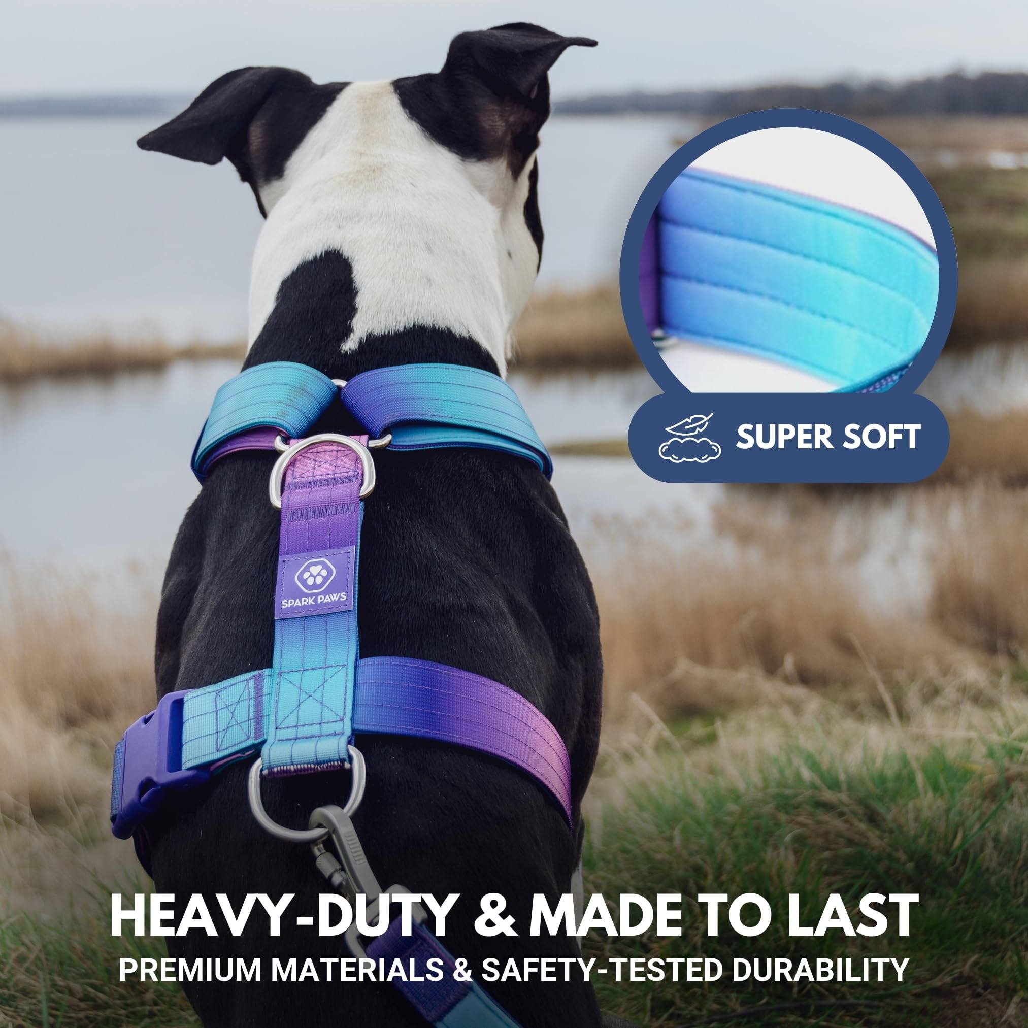 No-Pull Dog Harness for Large Strong Breeds - Pitbull & Boxer Safety Control Vest with 90s Retro Design - Perfect for Walking, Training & Outdoor Adventures (Size M)