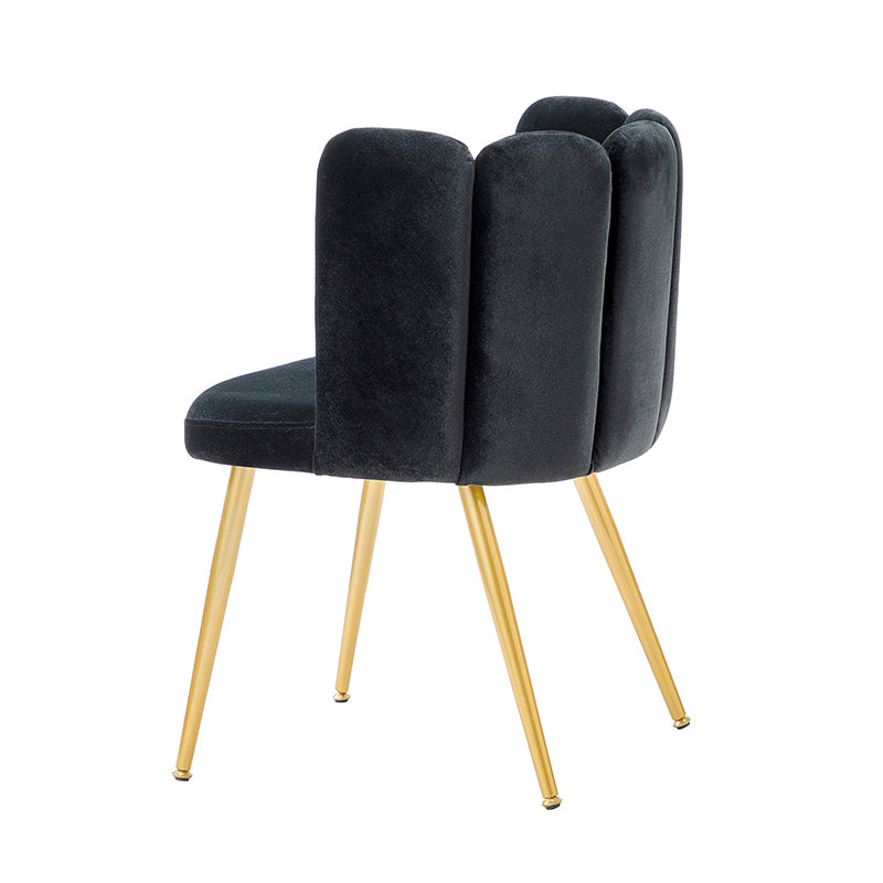 Elodia Side Chair - Modern Accent Chair for Dining Room, Living Room & Office - Sturdy Wooden Frame with Upholstered Seat - Perfect for Home Decor & Small Spaces