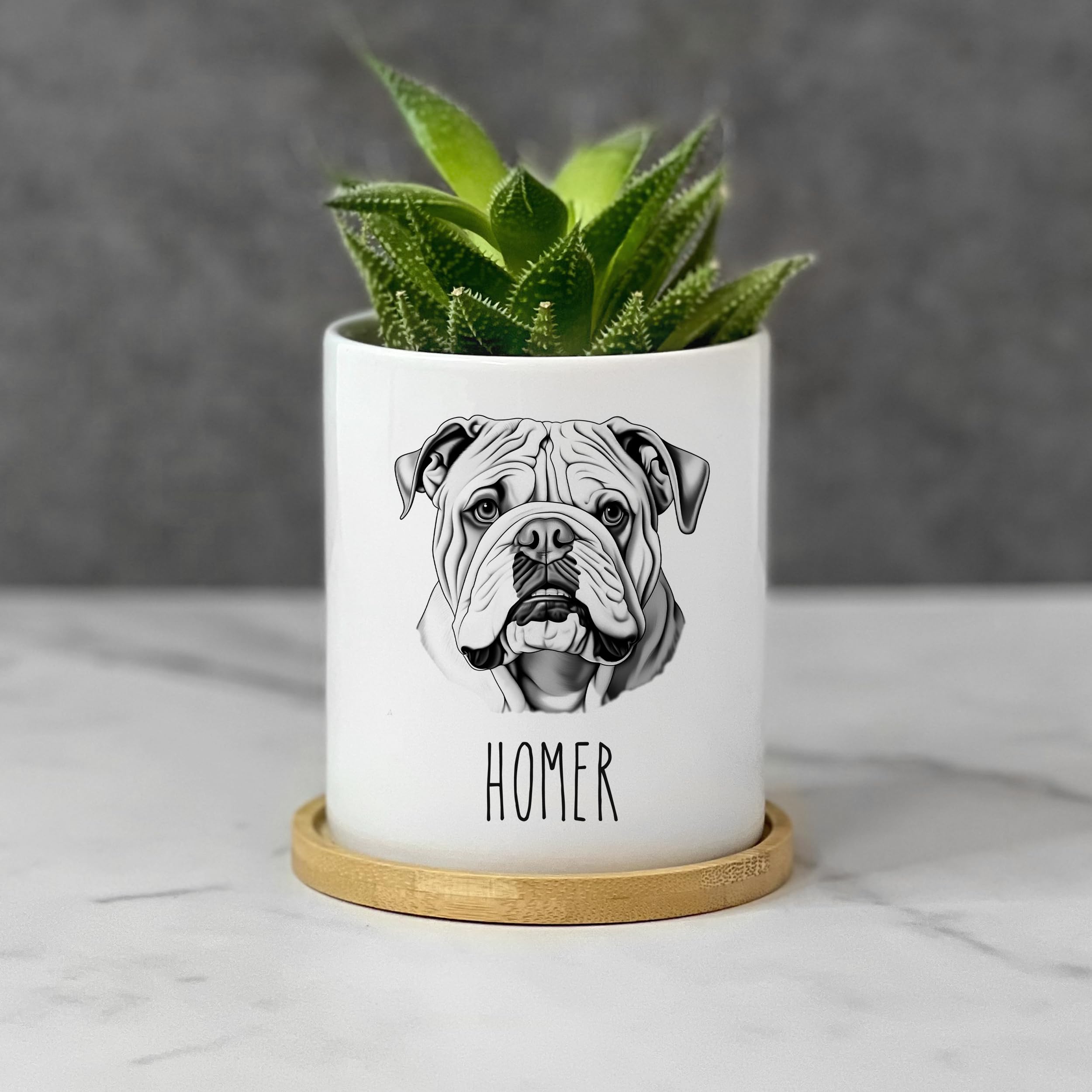 English Bulldog Planter Pot - Custom Personalized Dog Lover Gift for Mom Dad - Unique Pet Name Present for Fur Mama - Cute Table Decor for Home Office Garden